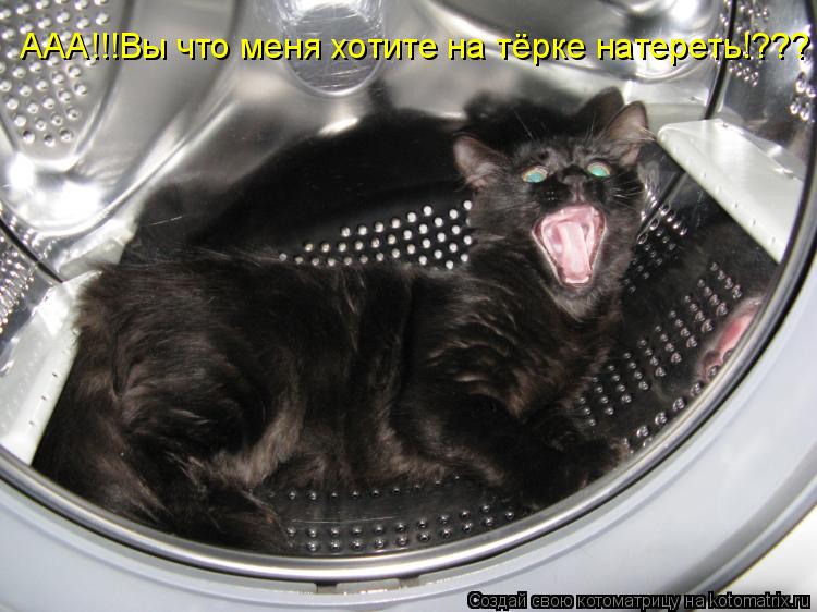 ААА!!!Вы что меня хотите на тёрке натереть!???... Котоматрица: ААА!!!Вы что меня хотите на тёрке натереть!???