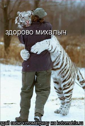 здорово михалыч... Котоматрица: здорово михалыч