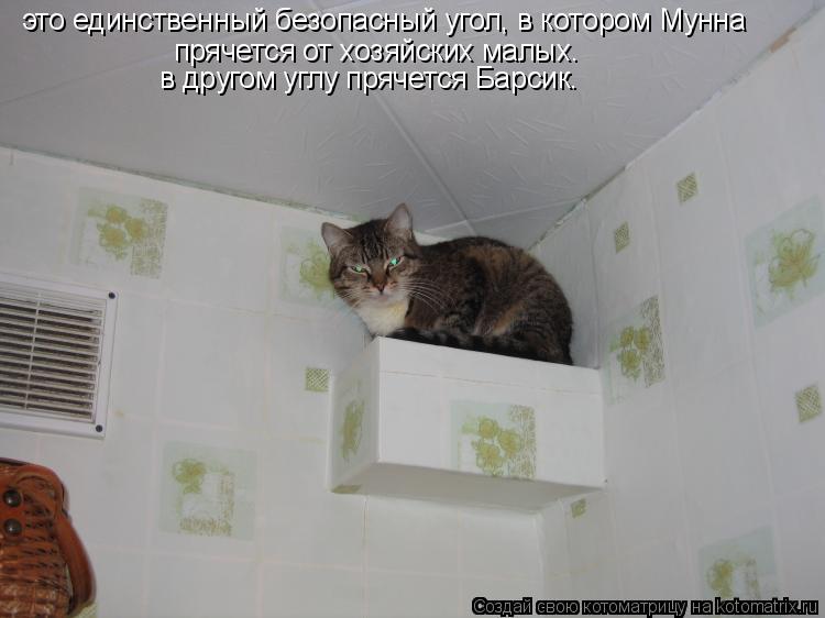 это единственный безопасный угол, в котором Мунна прячется от хозяйских малых. в другом углу прячетс... Котоматрица: это единственный безопасный угол, в котором Мунна прячется от хозяйских малых. в другом углу прячется Барсик.