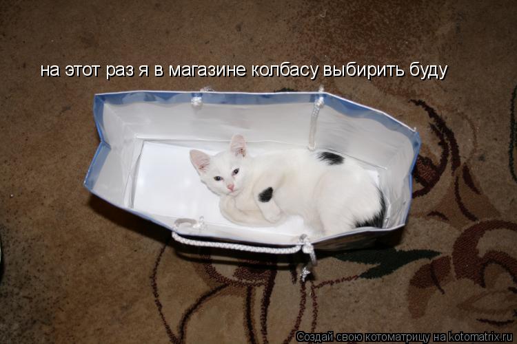 на этот раз я в магазине колбасу выбирить буду... Котоматрица: на этот раз я в магазине колбасу выбирить буду