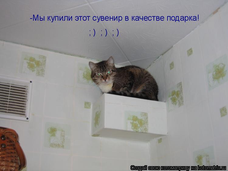 -Мы купили этот сувенир в качестве подарка! ; ) ; ) ; )... Котоматрица: -Мы купили этот сувенир в качестве подарка! ; ) ; ) ; )