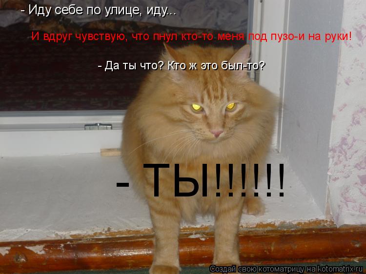 - Иду себе по улице, иду... И вдруг чувствую, что пнул кто-то меня под пузо-и на руки! - Да ты что? К... Котоматрица: - Иду себе по улице, иду... И вдруг чувствую, что пнул кто-то меня под пузо-и на руки! - Да ты что? Кто ж это был-то? - ТЫ!!!!!!