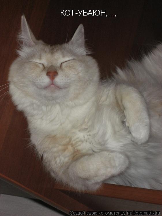 Котоматрица: КОТ-УБАЮН,,,,,