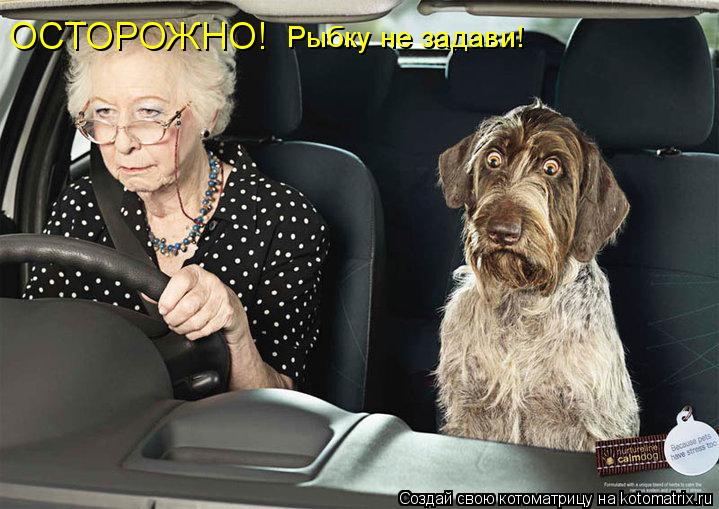 Котоматрица: ОСТОРОЖНО! Рыбку не задави!