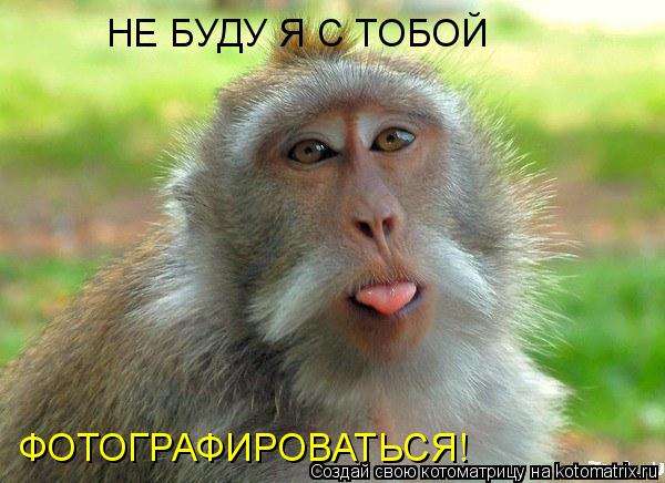 Котоматрица: НЕ БУДУ Я С ТОБОЙ  ФОТОГРАФИРОВАТЬСЯ!