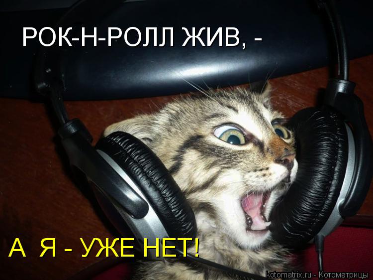 Котоматрица: РОК-Н-РОЛЛ ЖИВ, - А  Я - УЖЕ НЕТ!