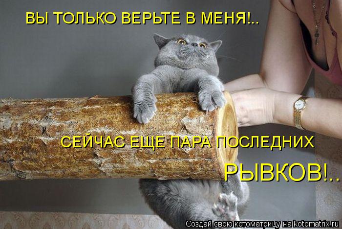 ВЫ ТОЛЬКО ВЕРЬТЕ В МЕНЯ!.. СЕЙЧАС ЕЩЕ ПАРА ПОСЛЕДНИХ РЫВКОВ!..... Котоматрица: ВЫ ТОЛЬКО ВЕРЬТЕ В МЕНЯ!.. СЕЙЧАС ЕЩЕ ПАРА ПОСЛЕДНИХ РЫВКОВ!..