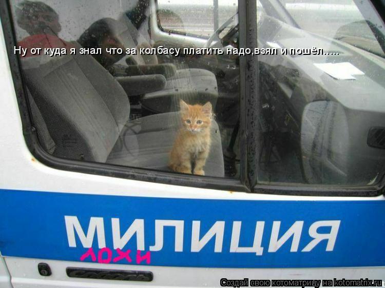 Котоматрица: Ну от куда я знал что за колбасу платить надо,взял и пошёл.....