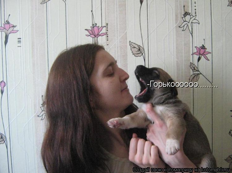 Котоматрица: -Горькоооооо.........