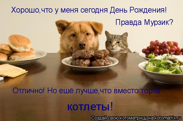 Котоматрица: Правда Мурзик?  Отлично! Но ешё лучше,что вместо торта -  Хорошо,что у меня сегодня День Рождения! котлеты!