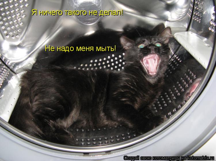 Котоматрица: Я ничего такого не делал! Не надо меня мыть!