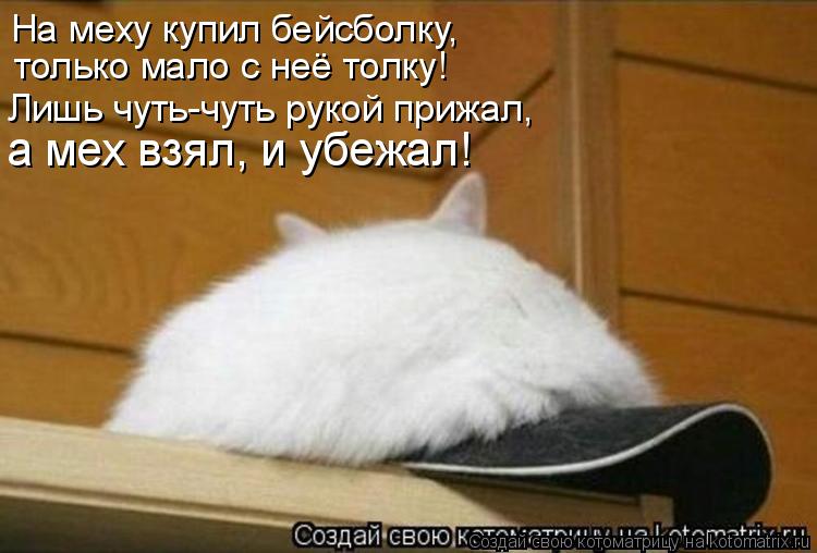 Котоматрица: На меху купил бейсболку, только мало с неё толку! Лишь чуть-чуть рукой прижал, а мех взял, и убежал!