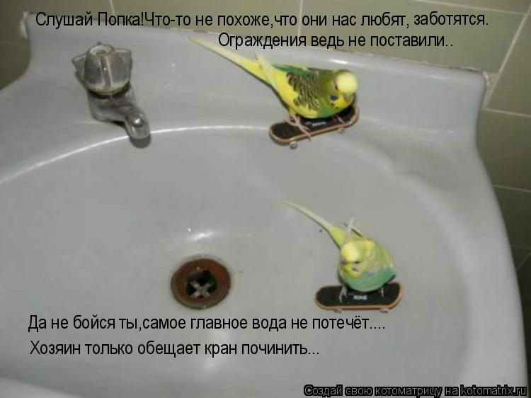 Слушай Попка!Что-то не похоже,что они нас любят, Ограждения ведь не поставили.. Да не бойся ты,самое ... Котоматрица: Слушай Попка!Что-то не похоже,что они нас любят, Ограждения ведь не поставили.. Да не бойся ты,самое главное вода не потечёт.... Хозяин только