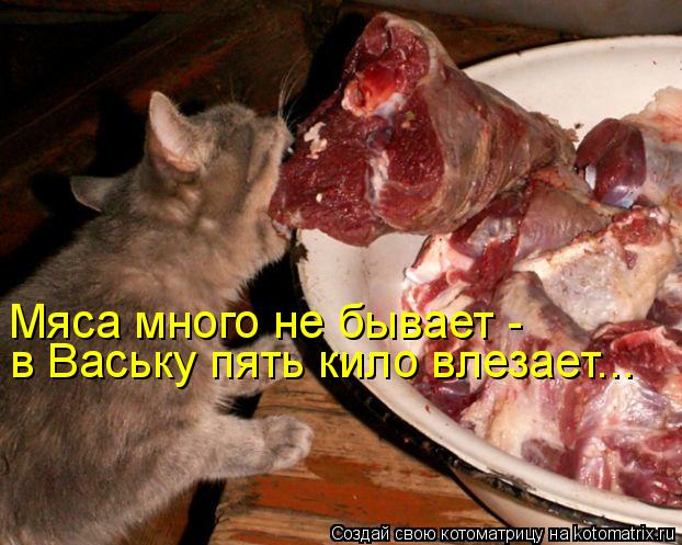 Котоматрица: Мяса много не бывает -  в Ваську пять кило влезает...