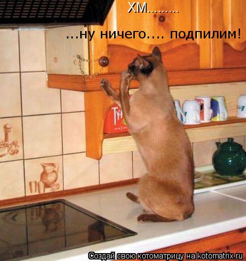 ХМ......... ...ну ничего.... подпилим!... Котоматрица: ХМ......... ...ну ничего.... подпилим!