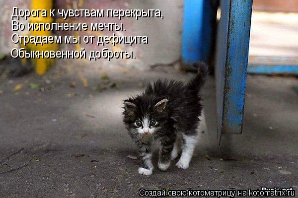 Дорога к чувствам перекрыта, Во исполнение мечты. Страдаем мы от дефицита Обыкновенной доброты.... Котоматрица: Дорога к чувствам перекрыта, Во исполнение мечты. Страдаем мы от дефицита Обыкновенной доброты.
