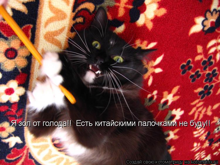 Я зол от голода!! Есть китайскими палочками не буду!!... Котоматрица: Я зол от голода!! Есть китайскими палочками не буду!!