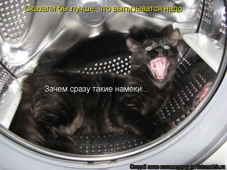 Зачем сразу такие намеки... Сказали бы лучше, что вылизыватся надо... Котоматрица: Зачем сразу такие намеки... Сказали бы лучше, что вылизыватся надо