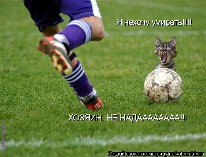Я нехочу умирать!!!! ХОЗЯИН, НЕ НАДАААААААА!!!... Котоматрица: Я нехочу умирать!!!! ХОЗЯИН, НЕ НАДАААААААА!!!