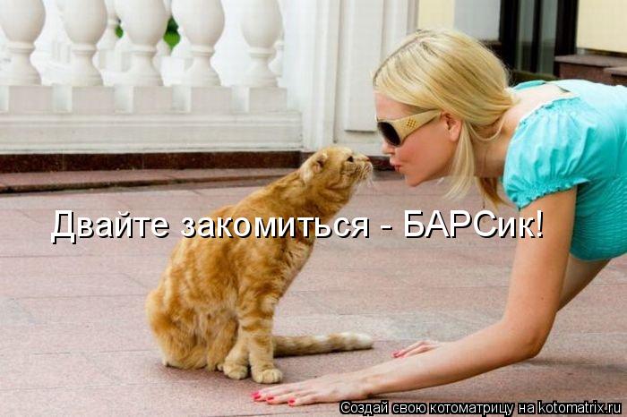 Двайте закомиться - БАРСик!... Котоматрица: Двайте закомиться - БАРСик!