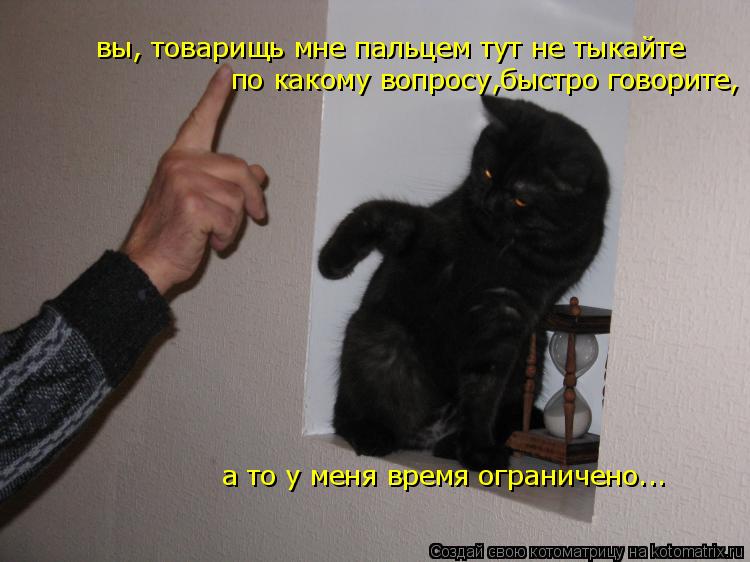 вы, товарищь мне пальцем тут не тыкайте по какому вопросу,быстро говорите, а то у меня время огранич... Котоматрица: вы, товарищь мне пальцем тут не тыкайте по какому вопросу,быстро говорите, а то у меня время ограничено...