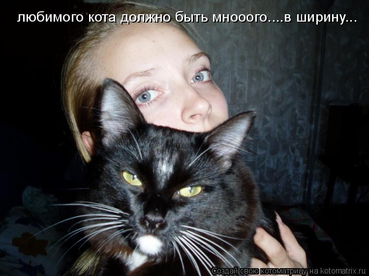 любимого кота должно быть мнооого....в ширину...... Котоматрица: любимого кота должно быть мнооого....в ширину...