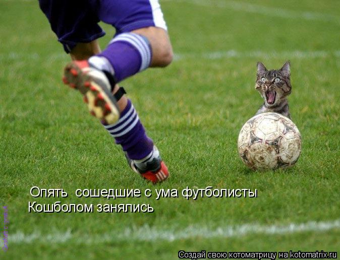 Опять сошедшие с ума футболисты Кошболом занялись... Котоматрица: Опять сошедшие с ума футболисты Кошболом занялись