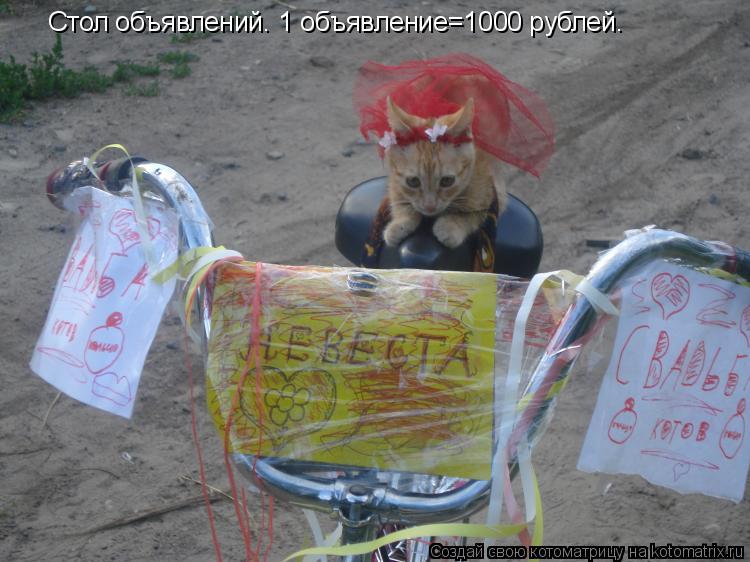 Стол объявлений. 1 объявление=1000 рублей.... Котоматрица: Стол объявлений. 1 объявление=1000 рублей.