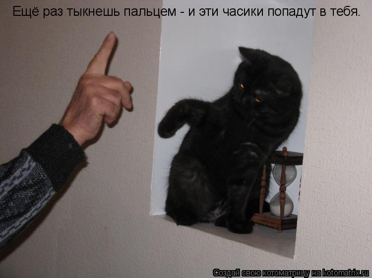 Ещё раз тыкнешь пальцем - и эти часики попадут в тебя.... Котоматрица: Ещё раз тыкнешь пальцем - и эти часики попадут в тебя.