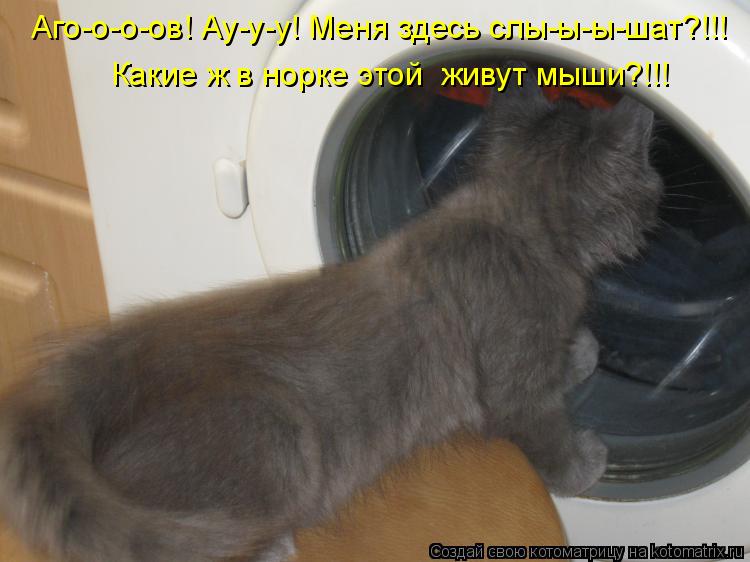 Аго-о-о-ов! Ау-у-у! Меня здесь слы-ы-ы-шат?!!! Какие ж в норке этой живут мыши?!!!... Котоматрица: Аго-о-о-ов! Ау-у-у! Меня здесь слы-ы-ы-шат?!!! Какие ж в норке этой живут мыши?!!!