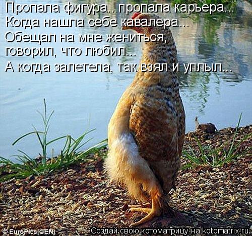 Пропала фигура...пропала карьера... Когда нашла себе кавалера... Обещал на мне жениться, говорил, чт... Котоматрица: Пропала фигура...пропала карьера... Когда нашла себе кавалера... Обещал на мне жениться, говорил, что любил... А когда залетела, так взял и уплы