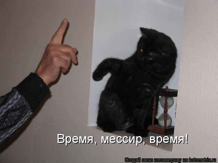 Время, мессир, время!... Котоматрица: Время, мессир, время!