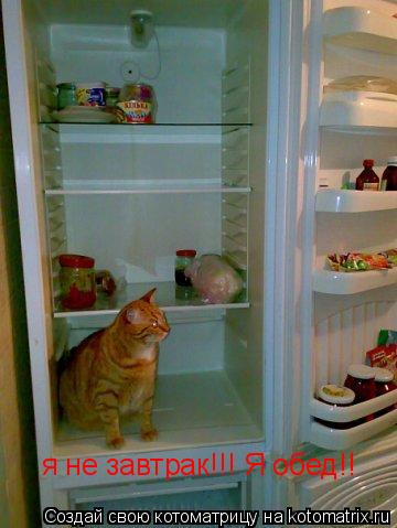 я не завтрак!!! Я обед!!... Котоматрица: я не завтрак!!! Я обед!!