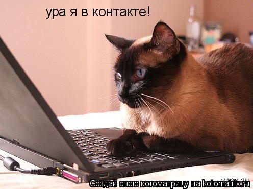 ура я в контакте!... Котоматрица: ура я в контакте!