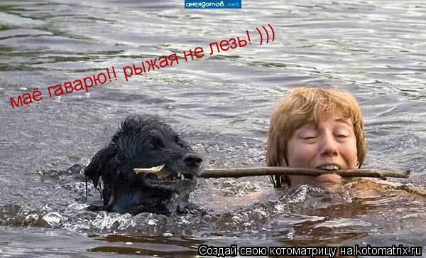 маё гаварю!! рыжая не лезь! )))... Котоматрица: маё гаварю!! рыжая не лезь! )))