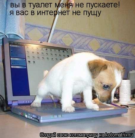 вы в туалет меня не пускаете! я вас в интернет не пущу... Котоматрица: вы в туалет меня не пускаете! я вас в интернет не пущу