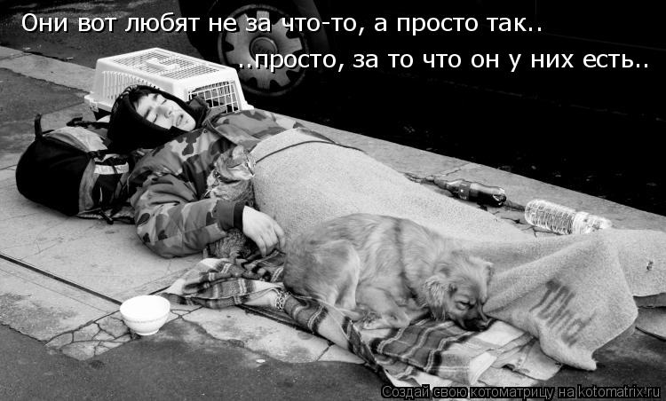 Они вот любят не за что-то, а просто так.. ..просто, за то что он у них есть..... Котоматрица: Они вот любят не за что-то, а просто так.. ..просто, за то что он у них есть..