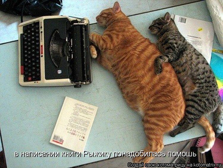 в написании книги Рыжику понадобилась помошь... Котоматрица: в написании книги Рыжику понадобилась помошь