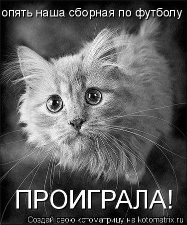 опять наша сборная по футболу ПРОИГРАЛА!... Котоматрица: опять наша сборная по футболу ПРОИГРАЛА!