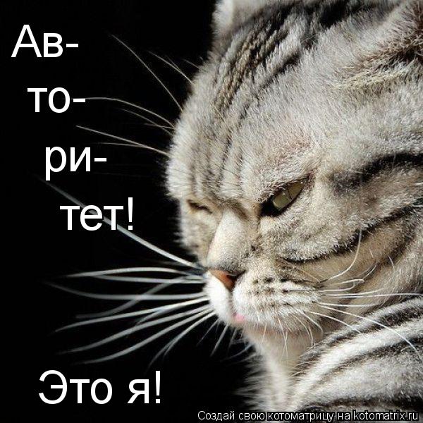Котоматрица: Ав- то- ри- тет! Это я!