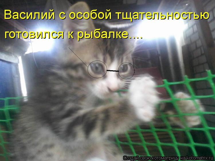 Котоматрица: Василий с особой тщательностью готовился к рыбалке....