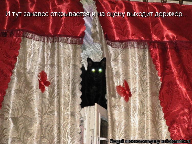 Котоматрица: И тут занавес открывается и на сцену выходит дерижёр...