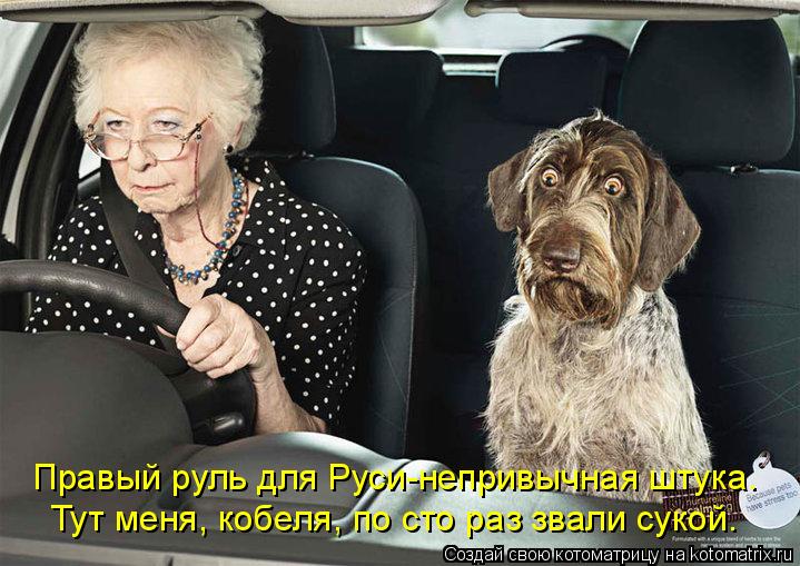 Правый руль для Руси-непривычная штука. Тут меня, кобеля, по сто раз звали сукой.... Котоматрица: Правый руль для Руси-непривычная штука. Тут меня, кобеля, по сто раз звали сукой.