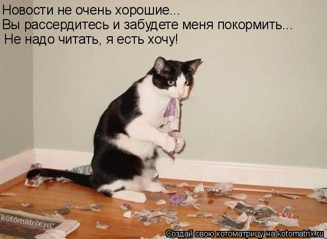 Котоматрица: Новости не очень хорошие... Вы рассердитесь и забудете меня покормить...  Не надо читать, я есть хочу!