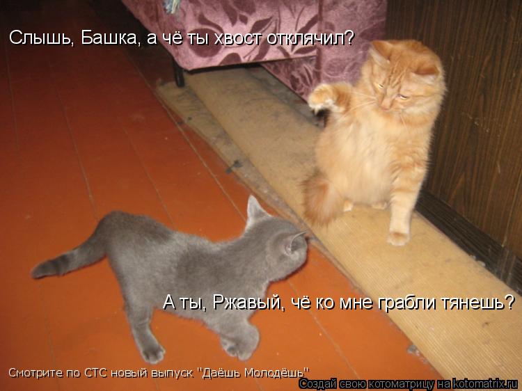 Котоматрица: Слышь, Башка, а чё ты хвост отклячил?   А ты, Ржавый, чё ко мне грабли тянешь?  А ты, Ржавый, чё ко мне грабли тянешь?  Смотрите по СТС новый выпус