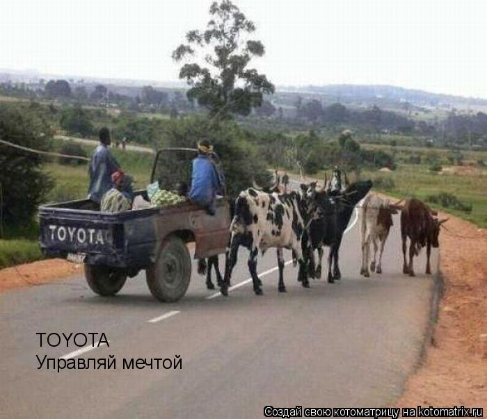 Котоматрица: TOYOTA Управляй мечтой