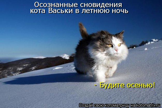 Котоматрица: Осознанные сновидения кота Васьки в летнюю ночь - Будите осенью!