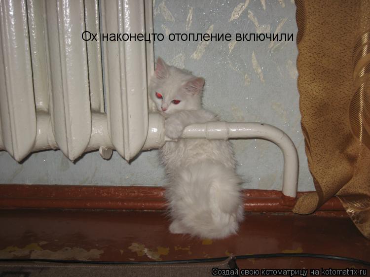 Ох наконецто отопление включили... Котоматрица: Ох наконецто отопление включили