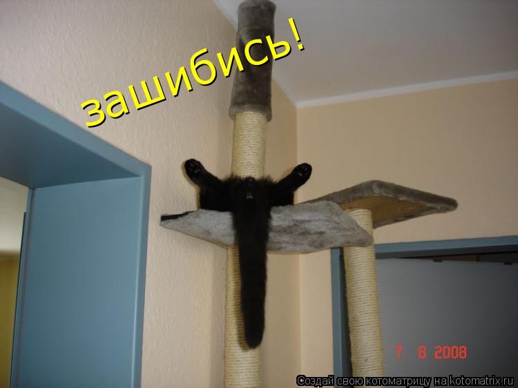 зашибись!... Котоматрица: зашибись!