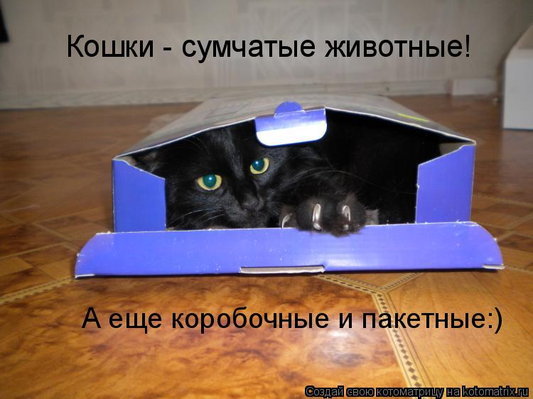 Кошки - сумчатые животные! А еще коробочные и пакетные:)... Котоматрица: Кошки - сумчатые животные! А еще коробочные и пакетные:)